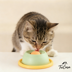 강아지 고양이 회전볼 슬로우 식기 액체간식 요거트용 그릇 슬로우 피딩 볼 식기 반려동물 급체방지, 그린 M, 2개