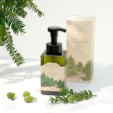 디애니몰 제주 비자 나무 손세정제 400ml 올바른손씻기, 1개