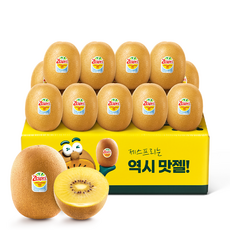 제스프리 썬골드키위 1.55kg내외 10~12개입 점보 특대, 1박스, 점보 개별 155g내외 10개입