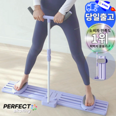 퍼펙트 스케이트 내전근 허벅지 다리운동 코어 전신 운동기구, 퍼펙트스케이트, 퍼플