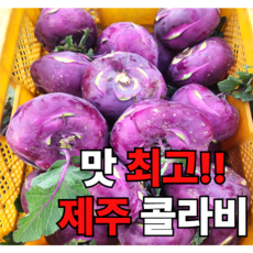 <가람> 콜리브리 품종 제주산 특품 콜라비 타사와 다른 신선함, 1개, 2kg