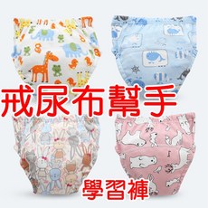 六層紗學習褲 110碼 100碼, 1個