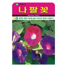 나팔꽃 꽃 씨앗 (합 450립) 꽃씨 종자