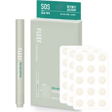 플리프 시카 알로에 스팟패치 51p + 진정 스팟 젤 여드름 연고 4.5g, 1개, 1개입