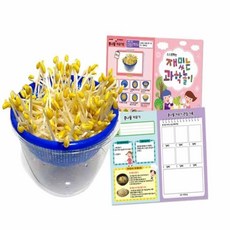 집소 콩나물 재배기