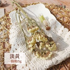 極度花燥 乾燥星辰花 花材, 【乾燥星辰花】淡黃色,一份約4.5-5克