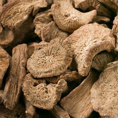 볶은우엉 600g 우엉차 효능 한방재료 한약재, 1개