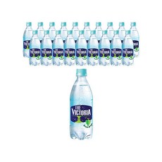 더 빅토리아 탄산수 청포도향 500ml 20개