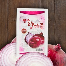 [1+1] 무안 양파 100% 직접 재배 저온착즙 자색 양파즙 [햇양파], 100ml, 100팩