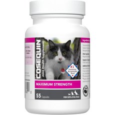 Nutramax 코세퀸 고양이 관절영양, 1개, 뼈/관절강화, 55정