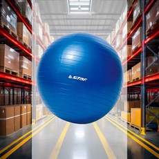 마사지 짐볼 블루 45cm 1개입 요가 운동기구 발레학원 발란스 운동 균형감각