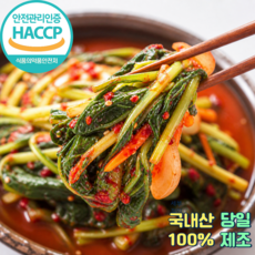 [춘복이네 당일제조] 국내산 전라도 어린 열무 자박이 김치 HACCP인증, 1개, 1kg