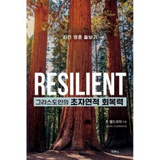 그리스도인의 초자연적 회복력:지친 영혼 돌보기, 두란노