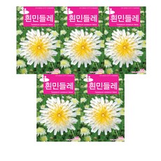 모두다 꽃씨앗 흰민들레씨앗(100립), 5개