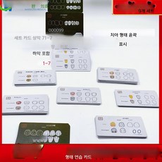 치아 형태학 연습 카드, 9개 세트에는 보관함이 포함되어 있습니다.