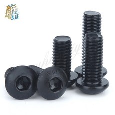 100 M5 시리즈 10 9 라운드 헤드 육각 소켓 나사 6 8 10/12 50mm 머쉬룸 고강도, [01] M5, 12mm, 1개