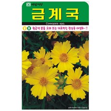 아람종묘 금계국 꽃 씨앗 500p, 5개