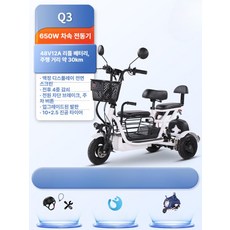 접이식 전동 삼륜 스쿠터 소형 이동형 배터리 경량 폴딩 전기카트, 1개, Q3 3인승 48V 12A 650W 30km, 48V