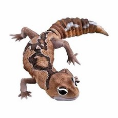 도마뱀피규어 아르마딜로 파충류 반다이도마뱀 생물 구렁이, 15 아프리카 뚱뚱한 꼬리 줄루 느슨한, 플라스틱 모델이라 껍질을 열어서 함, 선택된 그림 스타일이 우선합니다.