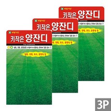세인화분 키작은 양잔디 20g - 켄터키블루그라스 잔디씨, 3개