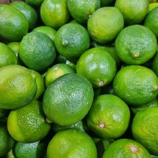 생라임, 50개, 100g(대과)