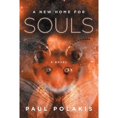 (영문도서) A New Home for Souls: An Irksome Flaw in the Design of Intelligence Paperback, Paul Polakis, English, 9780578783147