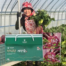 정직한 비트즙 100ml 30포 레드비트 진액, 30개