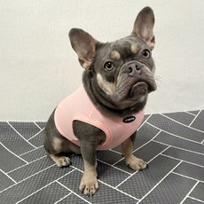 도기스타 프렌치불독옷 쿨썸머 메쉬 크롭티, 1개, 살구
