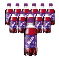 농심 웰치스 소다 포도, 300ml, 96개