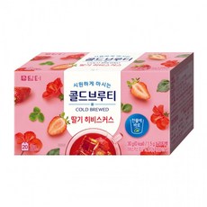 담터 콜드브루티 딸기 히비스커스 20개입, 1g, 1개입, 1개