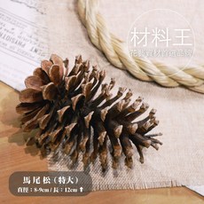 超大型松果毬果，12公分以上聖誕節裝飾，聖誕樹花圈裝飾乾燥花素材，台灣現貨速發, 1個, 原色馬尾松