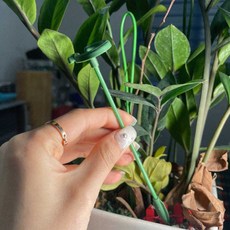 원예용 홈가드닝 덩굴식물 베란다 식물지지대 고정 녹색 17cm 화분지주대 넝쿨지지대