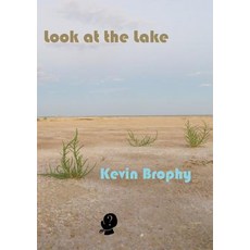 (영문도서) Look at the Lake Paperback, Puncher & Wattmann, English, 9781925780086