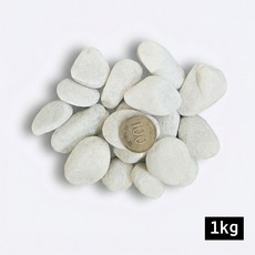 고급 백자갈 해미석 화이트, 1개, 20-30mm 1kg