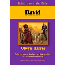 (영문도서)David Paperback, Reading Stones Publishing, English, 9781923021341