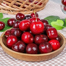 [담 컴퍼니] 기획가 프리미엄 고당도 체리 대과, 1개, 1kg