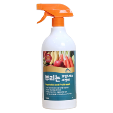 과일 채소 세정제 유정랩 대용량 1L 그린백 그린박스 야채 보관 밀폐용기 지퍼백, 1개, 1000ml