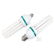 아이온비 장수 삼파장 55W 조명램프, 주광색(형광등색) E39