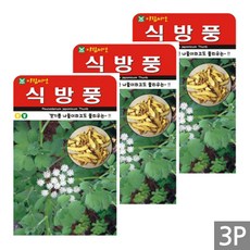 세인화분 식방풍 500립 - 국산 방풍 갯기름 나물 씨 씨앗, 3개