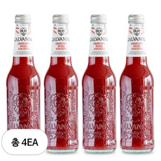 갈바니나 유기농 블러드오렌지 소다수, 4개, 355ml