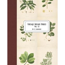 (영문도서) Vintage Botany Prints: Vol. 13 Paperback, Createspace Independent Pub..., English, 9781723184307