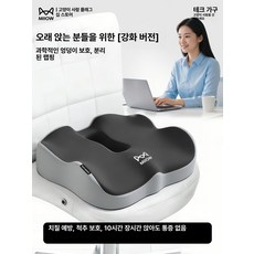 메모리폼 수험생 차량용 임산부 운전석 기능성 등쿠션