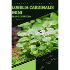 (영문도서) Lobelia Cardinalis Mini: From Novice to Expert. Comprehensive Aquarium Plants Guide Paperback, Independently Published, English, 9798854153027