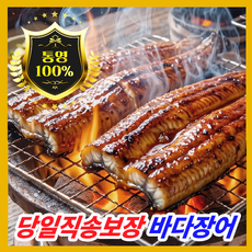 [추천BEST 재주문폭주 ] 통영 국내산지직송 손질 바다장어(소스2종 초생강) 1kg, 1세트, 600g