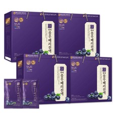 미국산 블루베리 진액 블루베리 엑기스 착즙주스, 60ml, 120