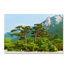 소나무 지리산 북한산 그림 액자 심신안정 풍수인테리어 돈들어오는 생기 그림, 03. 설악산 금강소나무