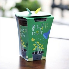 어린이 콩나물키우기 키트 관찰일지 포함 새싹재배 세트 홈가드닝 텃밭, 상세페이지 참조