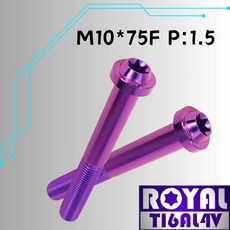ROYAL 鈦合金螺絲 M10*75F P:1.5 飛碟頭型螺絲 皇家紫, 1個