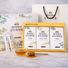 벌꿀스틱 45포 대용량 한이약이 천연 꿀 일회용 휴대용 답례품 단체 선물 세트, 12g, 45개