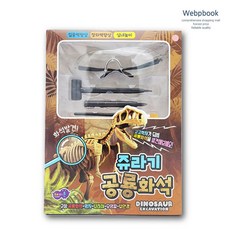 공룡화석놀이키트 유아공룡장난감 실내체험세트